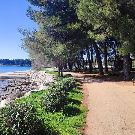 Apartments Novigrad Novigrad Istria Eksteriør bilde