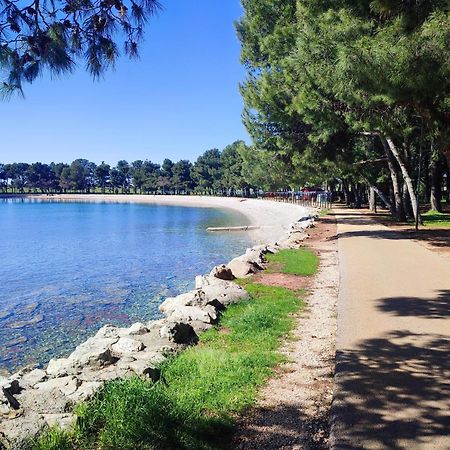 Apartments Novigrad Novigrad Istria Eksteriør bilde
