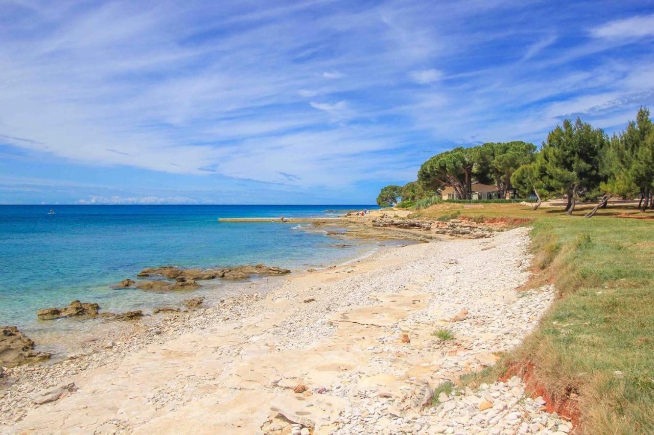 Apartments Novigrad Novigrad Istria Eksteriør bilde