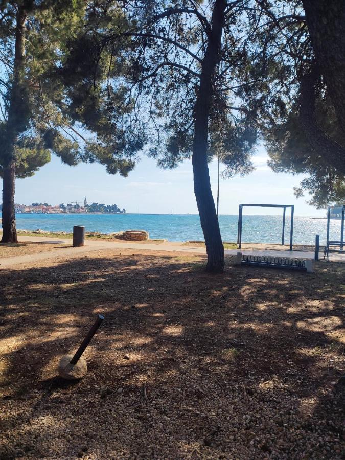 Apartments Novigrad Novigrad Istria Eksteriør bilde