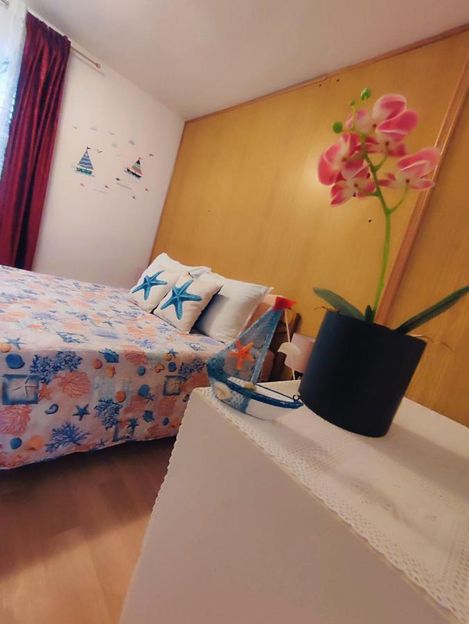 Apartments Novigrad Novigrad Istria Eksteriør bilde